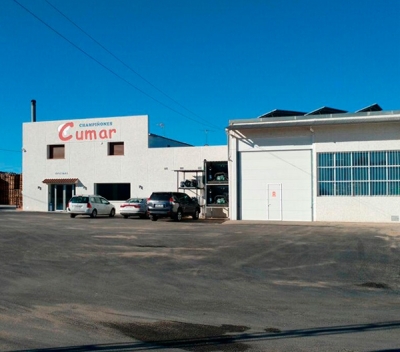 ChampiÃ±ones Cumar